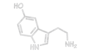 serotonine