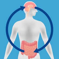 tripa de serotonina -Suplementos que dan un impulso positivo a todo el mundo