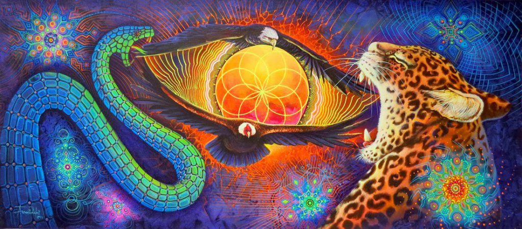 ayahuasca -¿Qué es mejor? ¿Ceremonia de ayahuasca o sesión de viaje con setas mágicas?