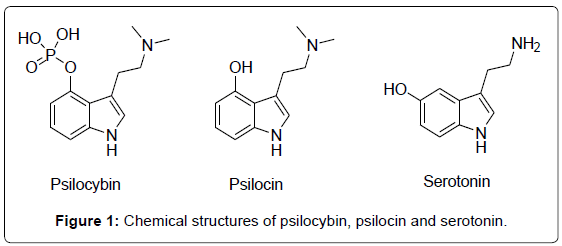 estructura química psilocibina psilocina y serotonina - Dieta limitada en tiramina