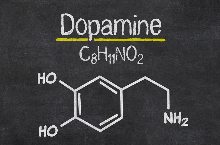 dopamina -Dopamina: más felicidad cuando la dopamina está equilibrada