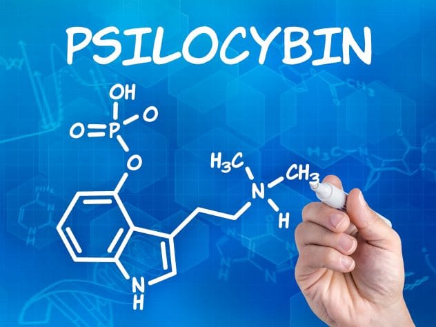 Terapia con psilocibina