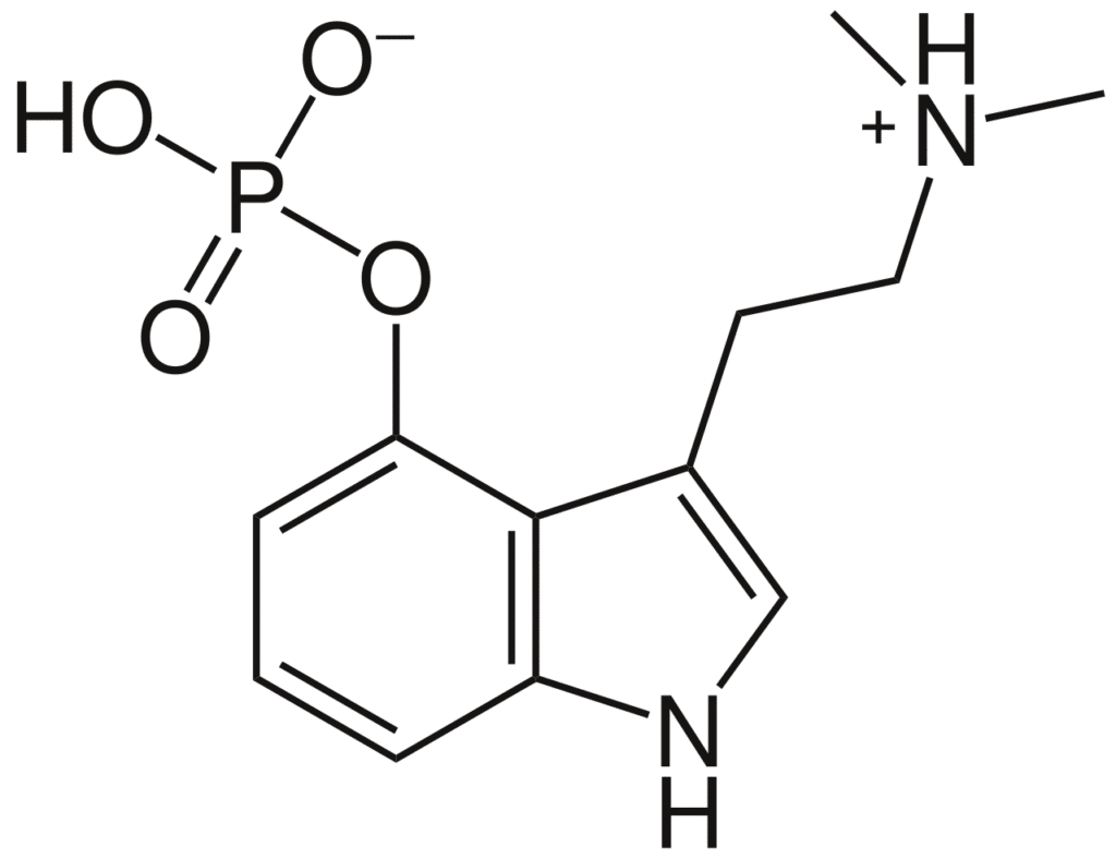 Psilocybin.svg -Heilige geometrie tijdens psilocybine sessie