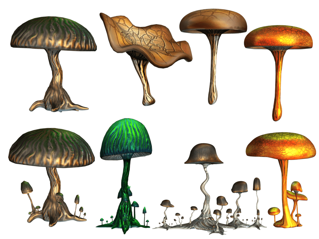 https://t4y7u6x5.delivery.rocketcdn.me/wp-content/uploads/2020/04/mushrooms.png