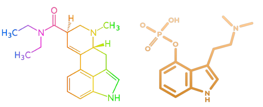 https://t4y7u6x5.delivery.rocketcdn.me/wp-content/uploads/2020/05/LSD-en-psilocybine.png