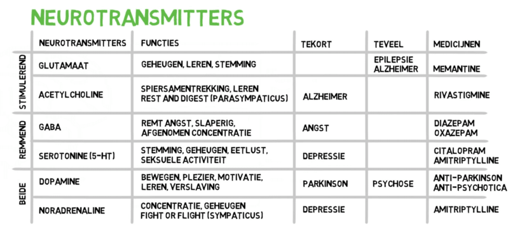 neurotransmitters overzicht -Neurotransmitters en voeding