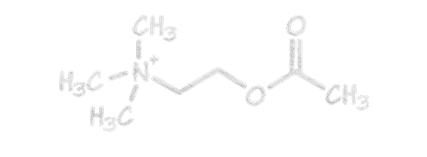 déficit en acétylcholine