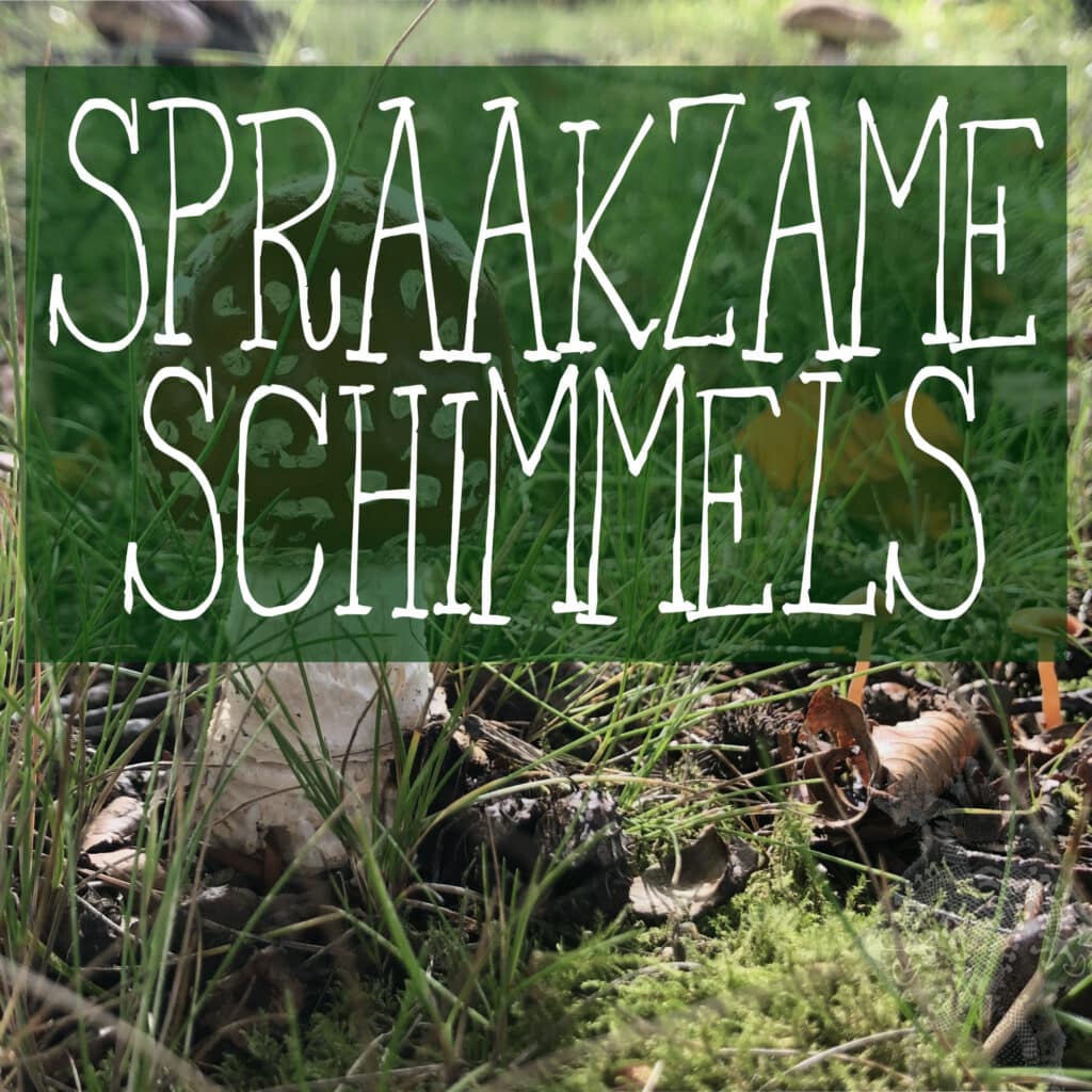 Spraakzame Schimmels -Nieuwe Revu: Trippen als therapie