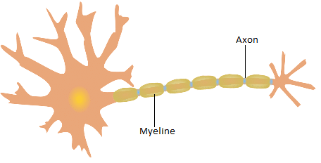 imagen 5 -¿Pilocibina contra la Esclerosis Múltiple (EM)?