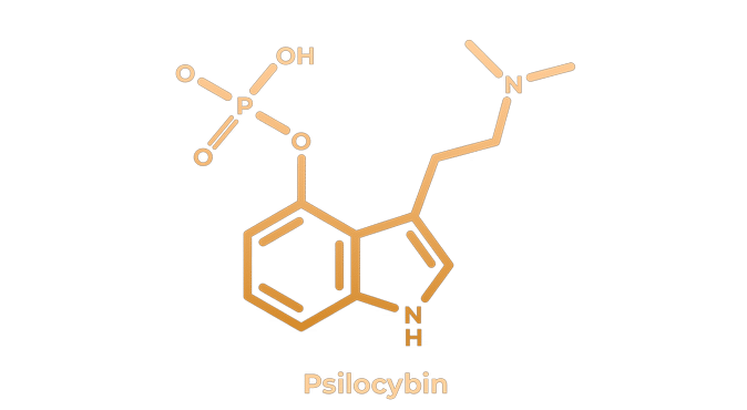 image 4 -Psychedelische therapie