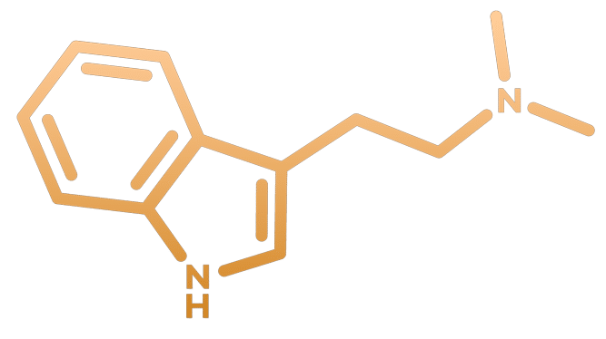 Molécula de DMT (ayahuasca)