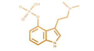 Psilocybin-Therapie