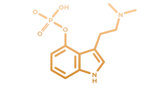 Psilocybin therapy