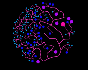 Psilocybine en neuroplasticiteit