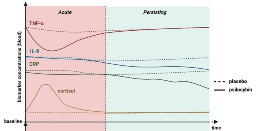 psilocybin for inflammation
