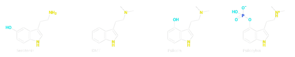 Similitudes DMT, psilocina y serotonina