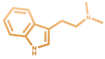 Molécula de DMT (ayahuasca)