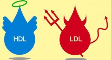 LDL