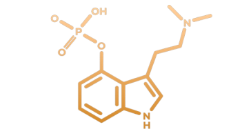 Psilocibina