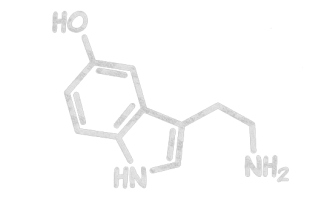 Serotonin