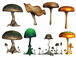 mushrooms